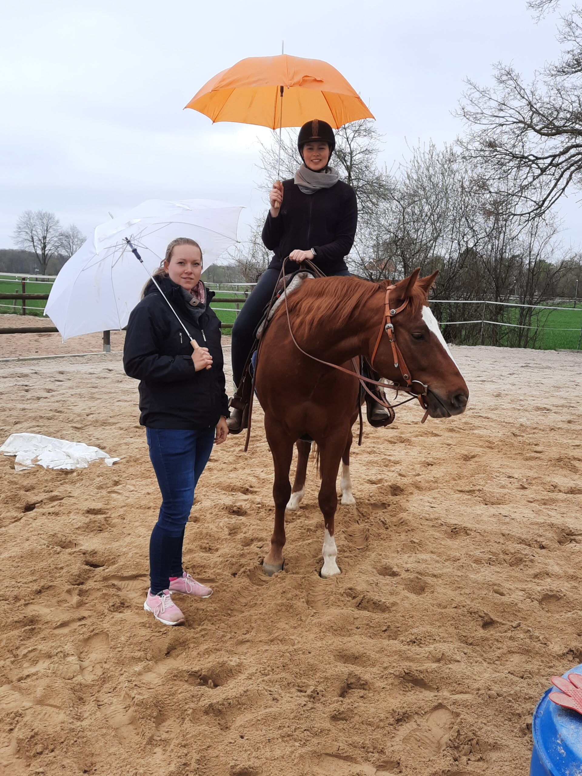 Alltagssituationen souverän meistern