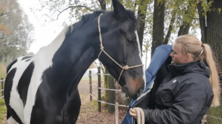 4b7d06fe-2878-4012-bf61-4327f80bce76