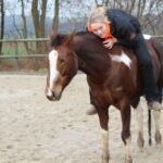 #1 Faktor, um endlich die Seele am Rücken deines Pferdes baumeln lassen zu können