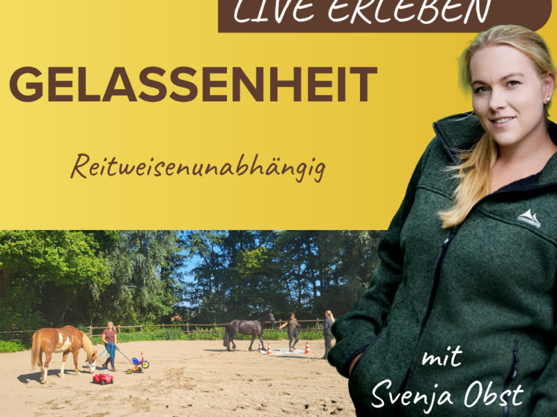 Gelassenheit mit Svenja Obst