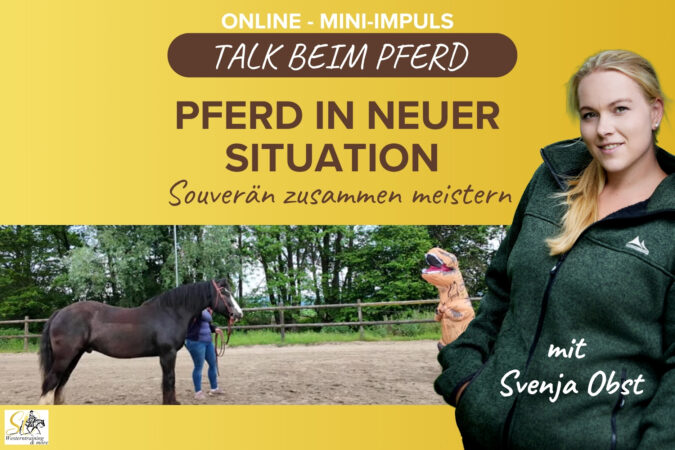 Pferdeausbildung: Pferd und neue Situationen mit Svenja Obst