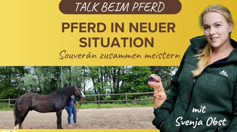 Pferdeausbildung: Pferd und neue Situationen mit Svenja Obst
