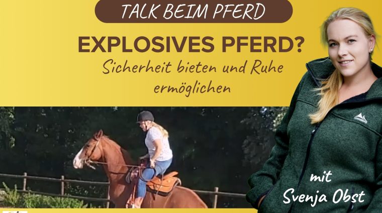 Pferdeausbildung: explosives Pferd mit Svenja Obst