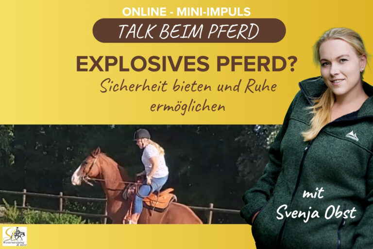 Pferdeausbildung: explosives Pferd mit Svenja Obst