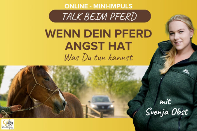 Pferdeausbildung: Pferd im Straßenverkehr mit Svenja Obst
