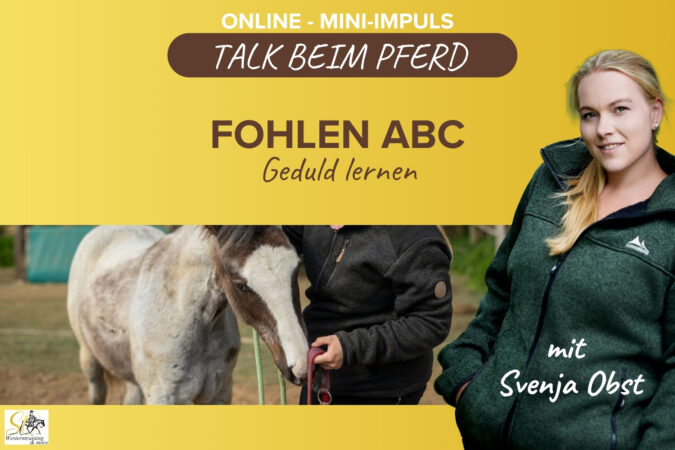 Fohlen ABC mit Svenja Obst