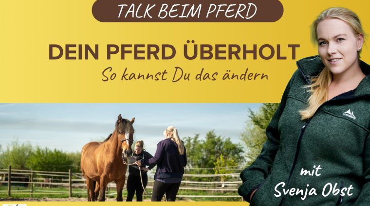 Pferdeausbildung: Pferd überholt mit Svenja Obst
