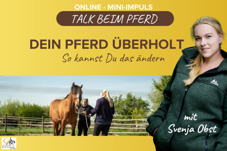 Pferdeausbildung: Pferd überholt mit Svenja Obst