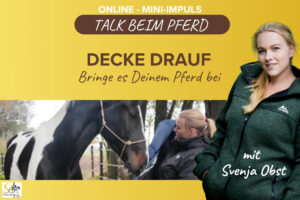 Pferdeausbildung: Decke aufs Pferd mit Svenja Obst