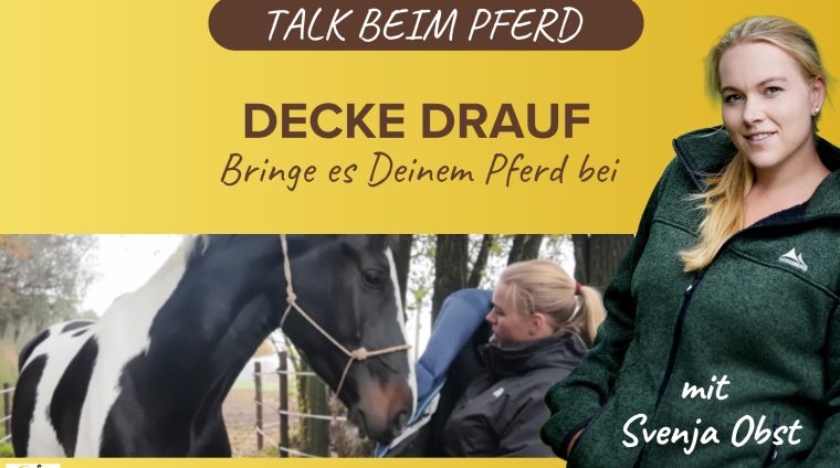 Pferdeausbildung: Decke aufs Pferd mit Svenja Obst