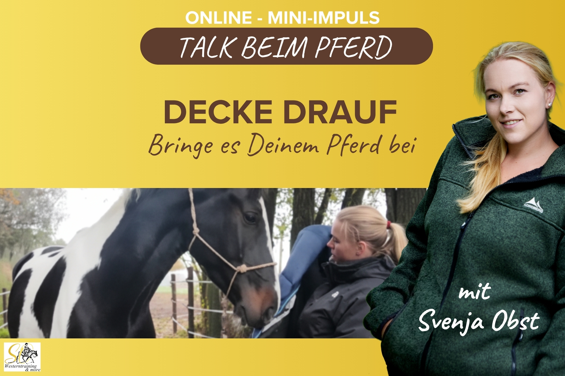 Pferdeausbildung: Decke aufs Pferd mit Svenja Obst