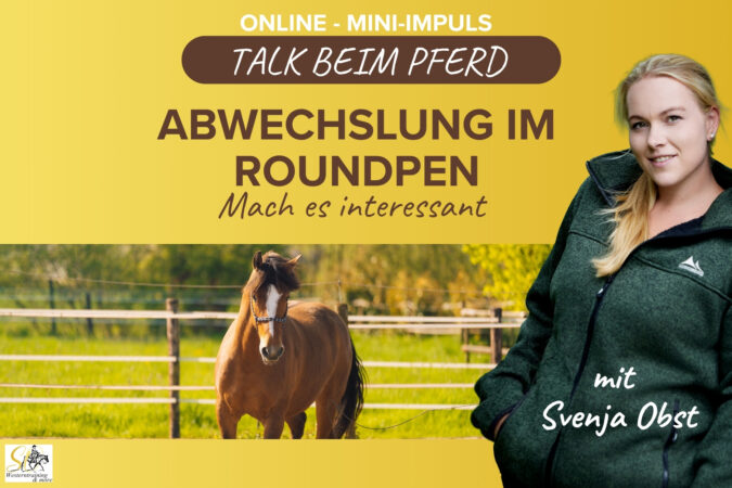 Pferdeausbildung: Arbeit im Roundpen mit Svenja Obst
