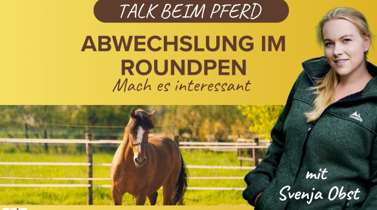 Pferdeausbildung: Arbeit im Roundpen mit Svenja Obst