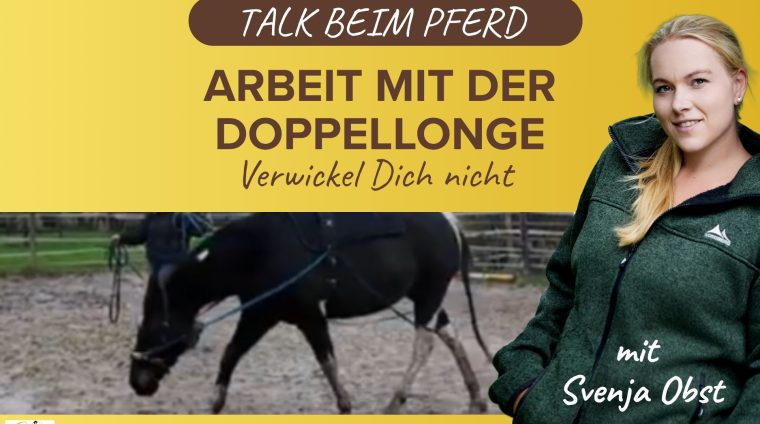 Pferdeausbildung: Arbeit mit der Doppellonge mit Svenja Obst