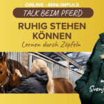 Mehr als nur Styling: Zöpfeln als Vertrauensarbeit mit dem Pferd