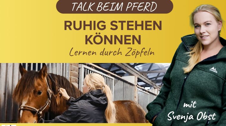 Pferdeausbildung: vertrauen und ruhe durch Zöpfeln mit Svenja Obst