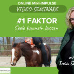 #1 Faktor, um endlich die Seele am Rücken deines Pferdes baumeln lassen zu können