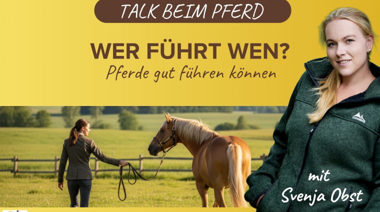 Pferdeausbildung: Pferde gut führen mit Svenja Obst