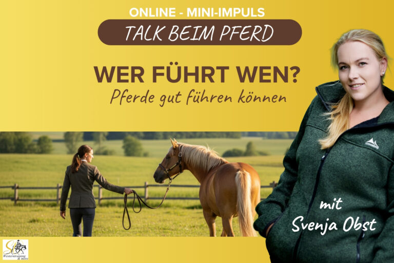 Pferdeausbildung: Pferde gut führen mit Svenja Obst