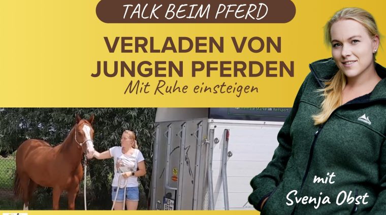 Pferdeausbildung: Verladen von jungen Pferden mit Svenja Obst