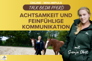 Pferdeausbildung: Talk beim Pferd mit Svenja Obst