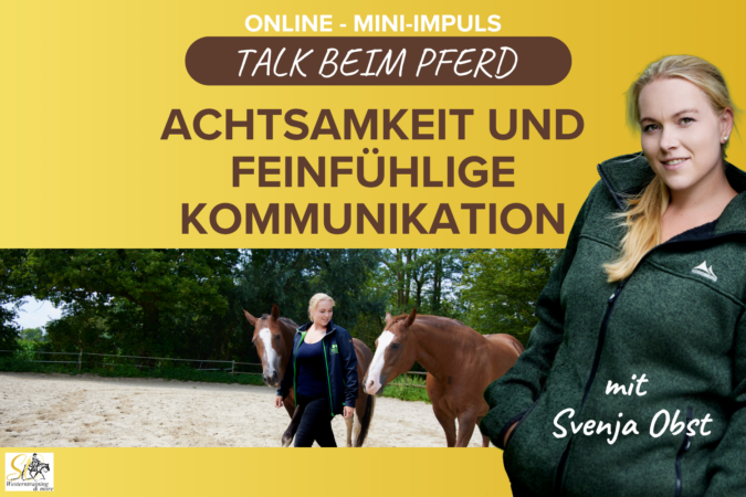 Pferdeausbildung: Talk beim Pferd mit Svenja Obst