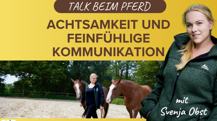 Pferdeausbildung: Talk beim Pferd mit Svenja Obst