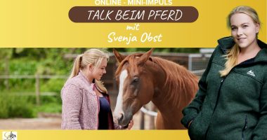 Talk beim Pferd