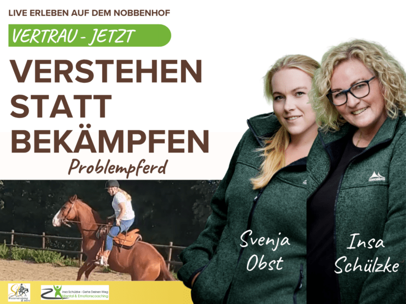 Vertrau Jetzt Problempferd