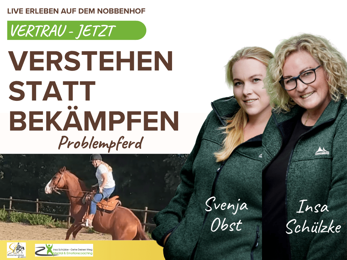 Vertrau Jetzt Problempferd