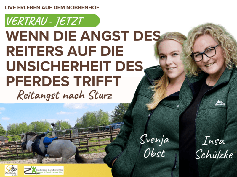Vertrau Jetzt - Reitangst nach Sturz