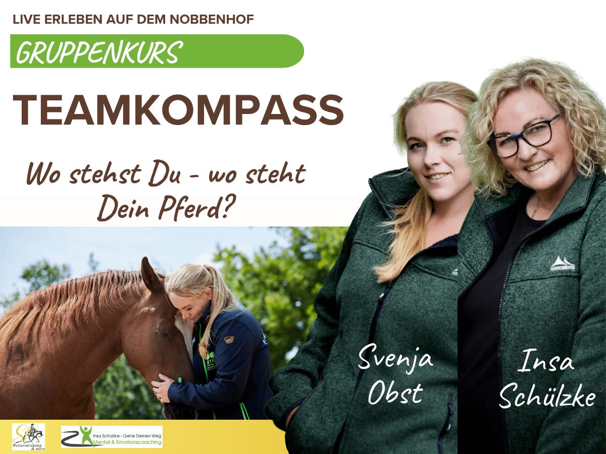 Teamkompass Gruppen Coaching