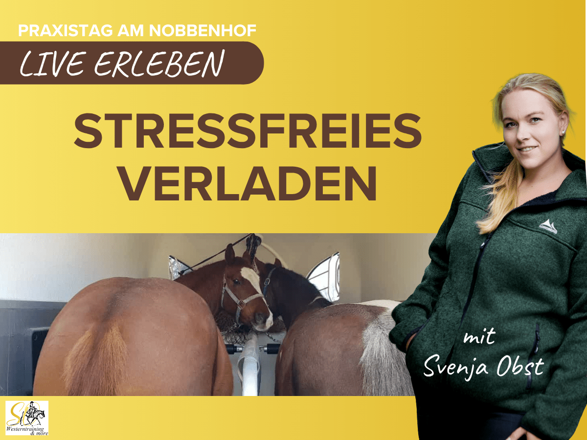 Kompaktkurs: Sicheres und stressfreies Verladen von Pferden