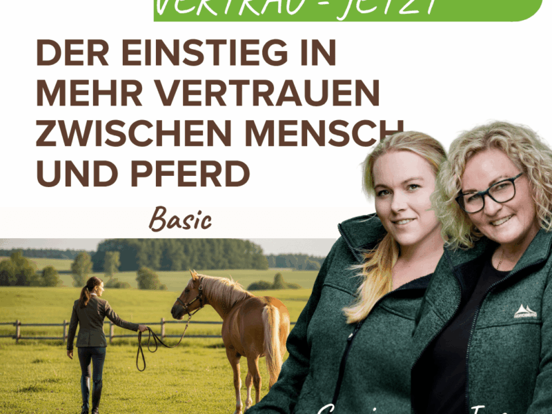 Vertrauen Jetzt - Basic