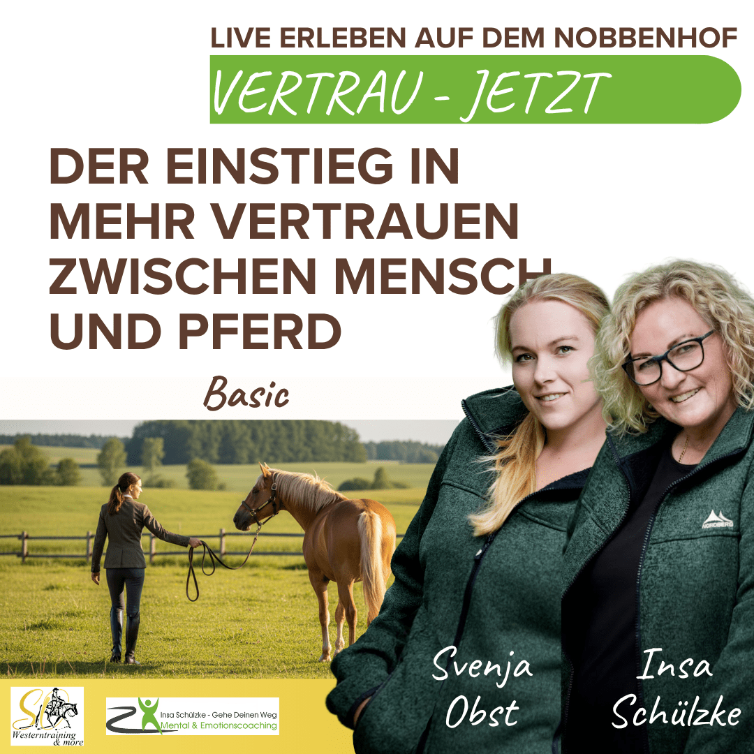 Vertrauen Jetzt - Basic