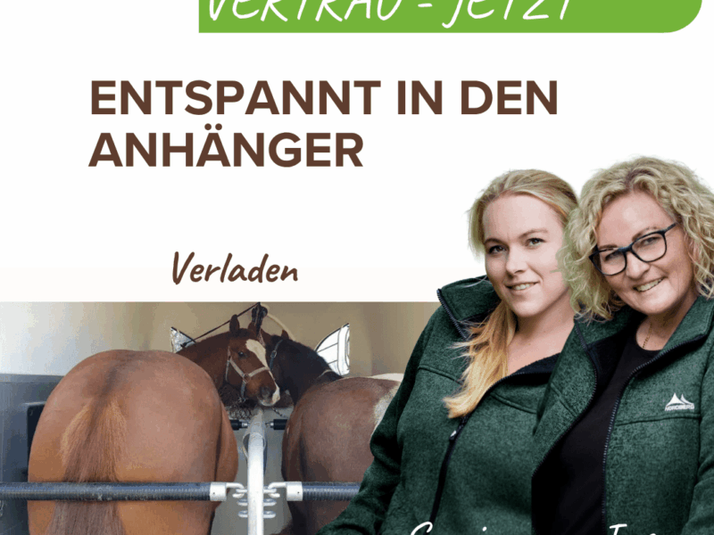Vertrauen Jetzt - Verladen