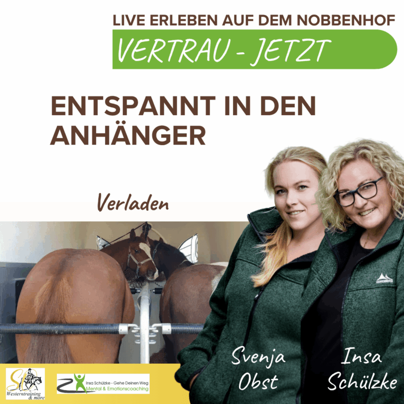 Vertrauen Jetzt - Verladen