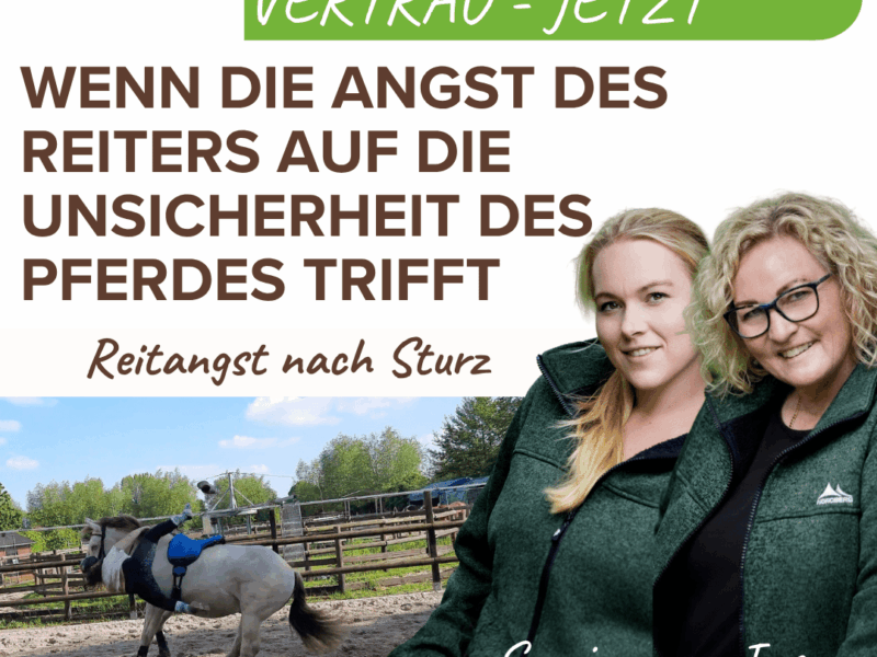 Vertrauen JETZT Reitangst