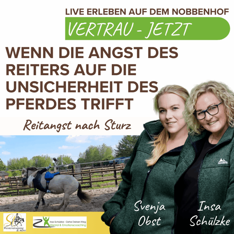 Vertrauen JETZT Reitangst
