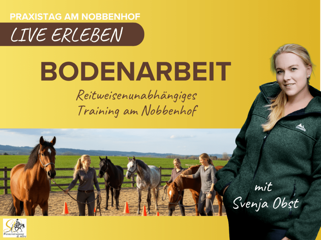 Bodenarbeitskurs – Gesunderhaltend & Individuell auf dich und dein Pferd abgestimmt