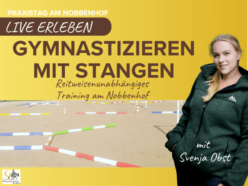 Gymnastizieren mit Stangen – Mehr Balance, Kraft & Losgelassenheit für dein Pferd