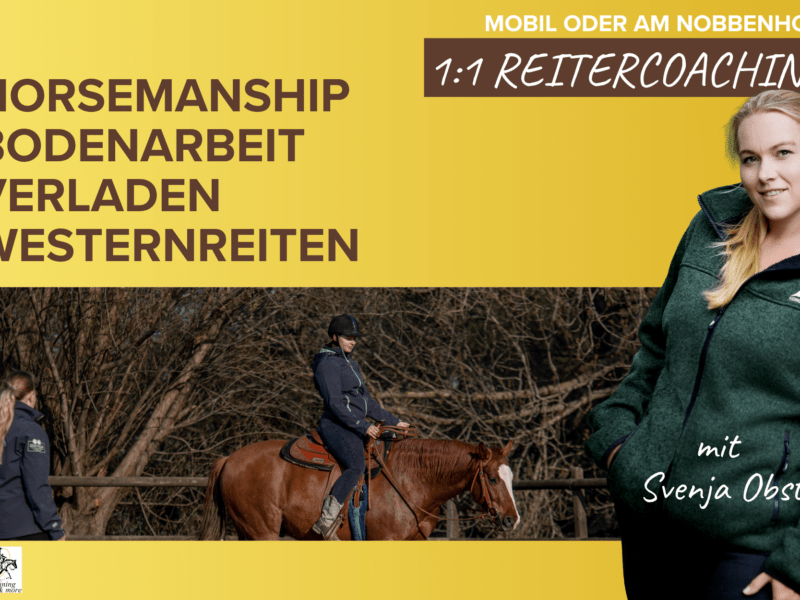 Reitercoaching – Bodenarbeit, Horsemanship, Verladetraining & Westernreiten