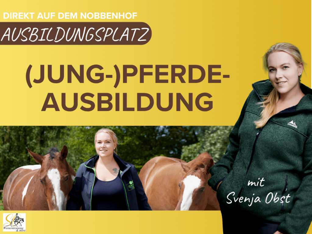 (Jung-)Pferdeausbildung