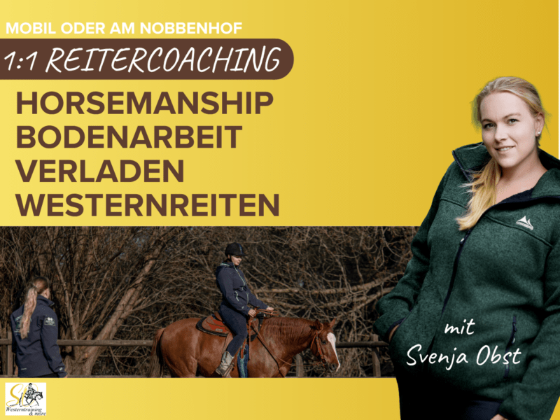 Reitercoaching – Bodenarbeit, Horsemanship, Verladetraining & Westernreiten