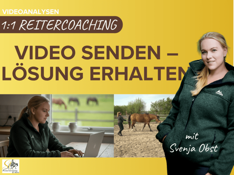 Videoanalyse für Pferd und Reiter – Individuelle Hilfe von Svenja Obst