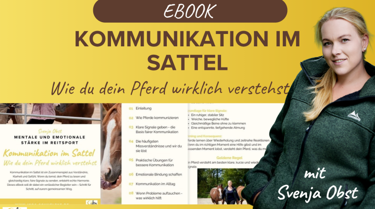 ebook Kommunikation im Sattel