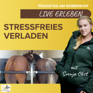Kompaktkurs: Stressfreies Verladen mit Svenja Obst