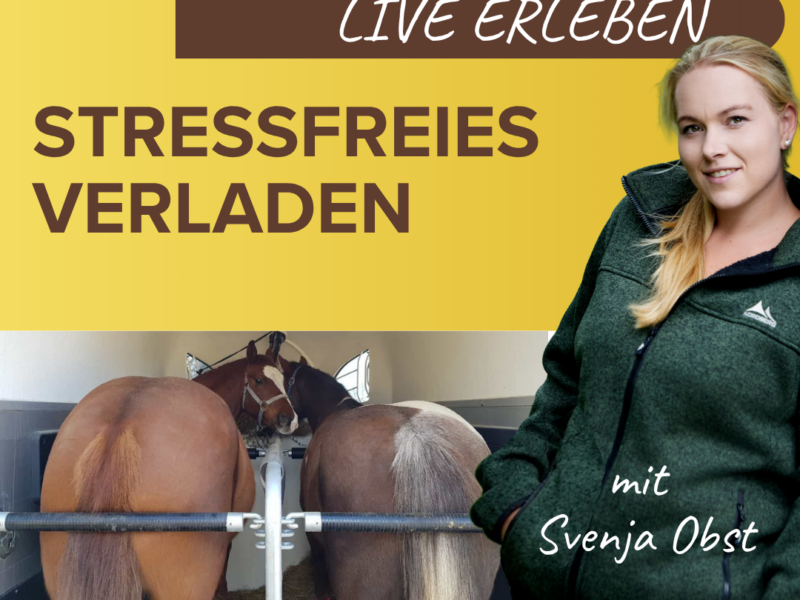 Kompaktkurs: Stressfreies Verladen mit Svenja Obst