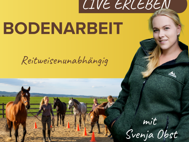 Bodenarbeitskurs