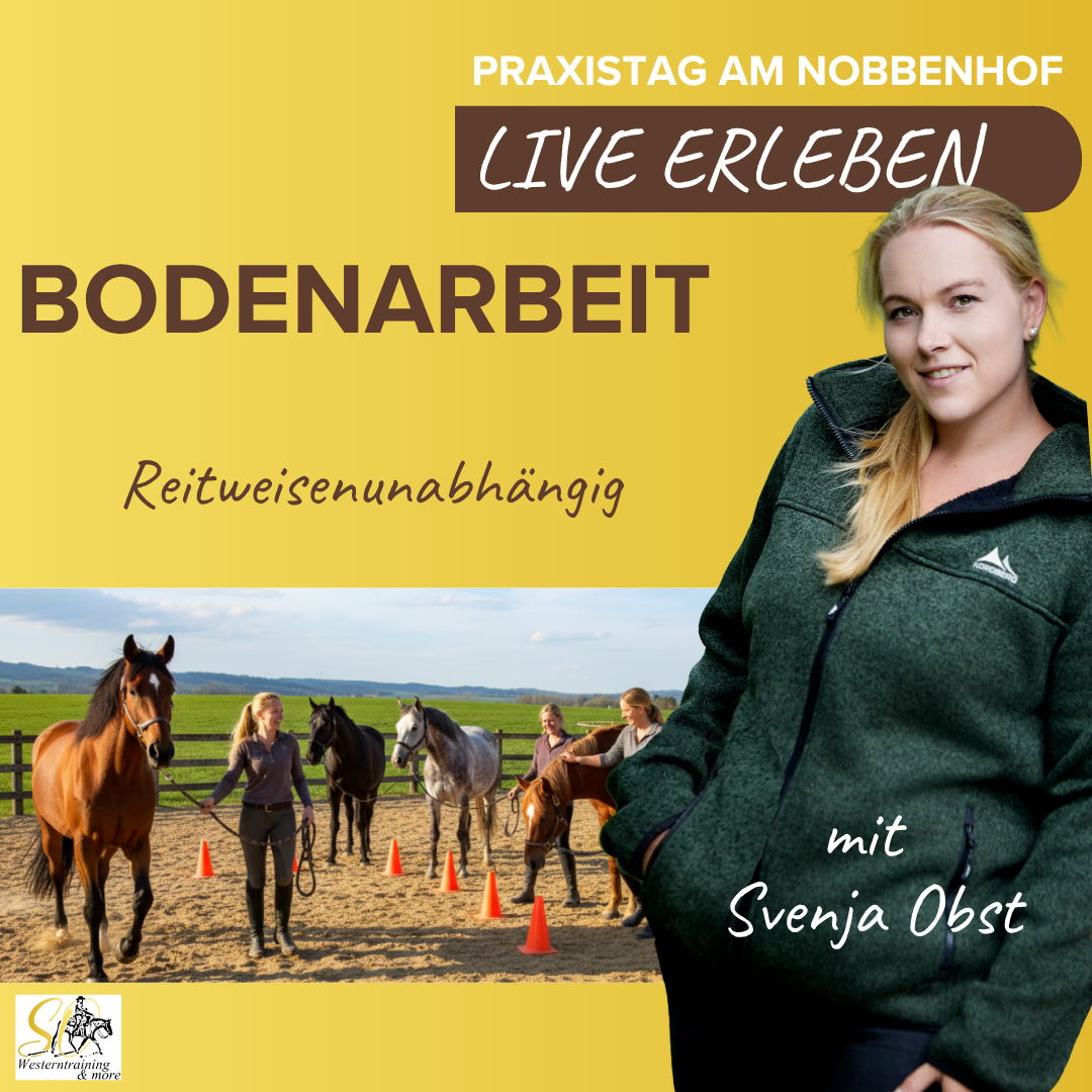 Bodenarbeitskurs